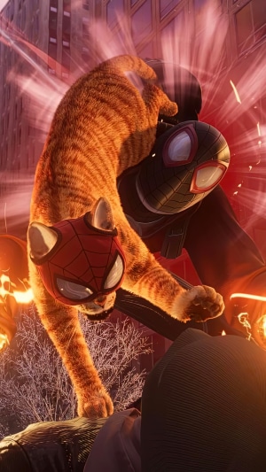 Spider-Cat and Miles Morales in Marvel's Spider-Man: Miles Morales