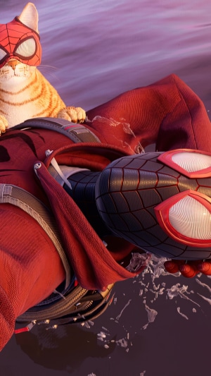 Spider-Cat on Miles Morales in Water