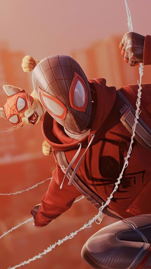 Spider-Man (Miles Morales) with Spider-Cat