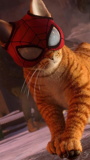 Spider-Cat from Marvel's Spider-Man: Miles Morales