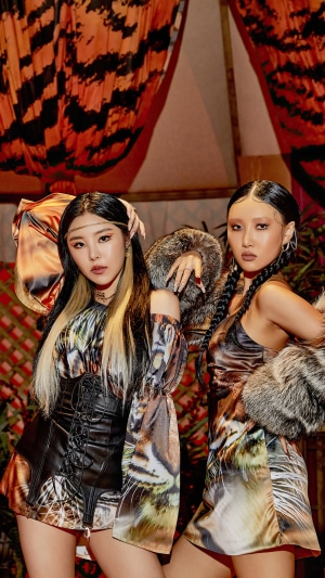 MAMAMOO members Hwasa and Wheein in tiger print outfits
