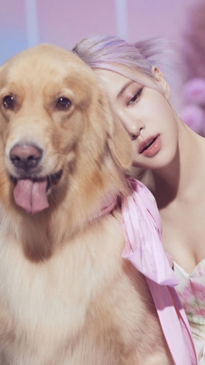 Rosé from BLACKPINK with a Golden Retriever