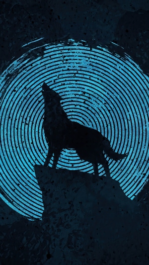 Silhouette of a wolf howling on a cliff