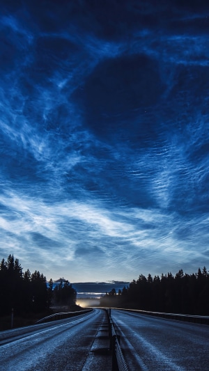 Road through a forest under a sky with noctilucent clouds