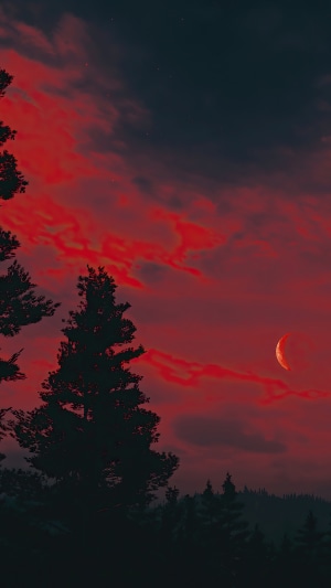 Red Sky with Crescent Moon over Forest at Night