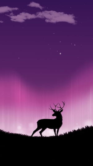 Minimalist Deer Silhouette Under Aurora
