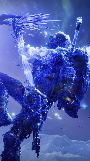 The Witness from Destiny 2