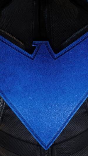 Nightwing Logo from Gotham Knights