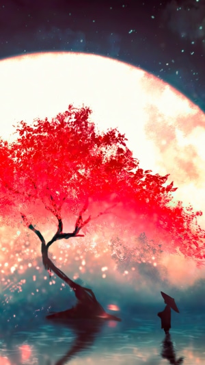Anime Night Scene with Moon and Cherry Blossom