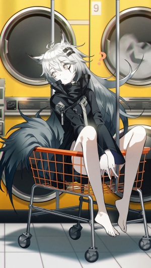 Texas from Arknights in a laundry room