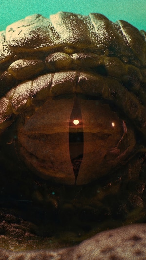Crocodile eye reflecting a sunset from Far Cry 6