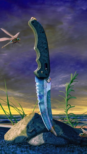 CSGO Knife on a rock by the sea
