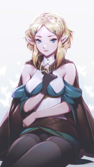 Princess Zelda from The Legend of Zelda: Breath of the Wild