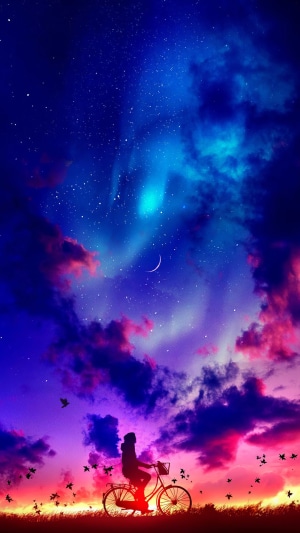 Silhouette of a person on a bicycle under a starry sky