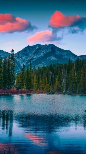 Mountain Lake with Pine Trees and Pink Clouds
