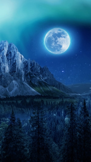 Full moon over mountains and forest at night