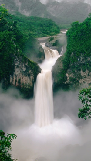 Waterfall in a lush green forest