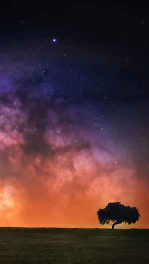 Lone tree under a starry night sky with colorful clouds