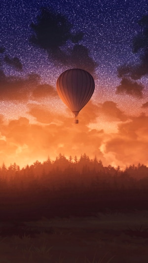 Hot Air Balloon Over Forest at Sunset