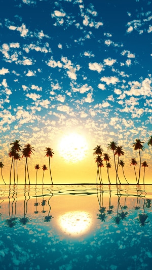 Sunset over the ocean with palm trees and clouds