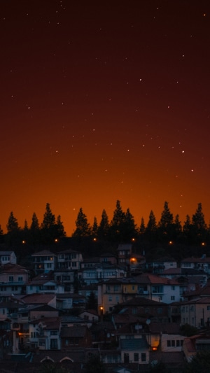 Night sky over a village with trees