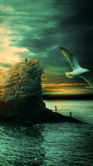People on a cliff by the sea at sunset with a seagull