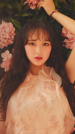 Cheng Xiao Kpop celebrity