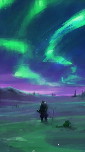 Person watching Aurora Borealis in a snowy landscape