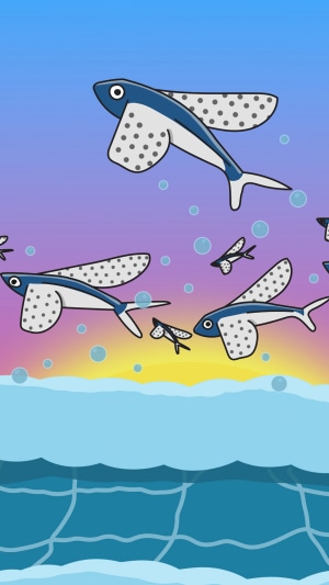 Flying fish in the ocean at sunset