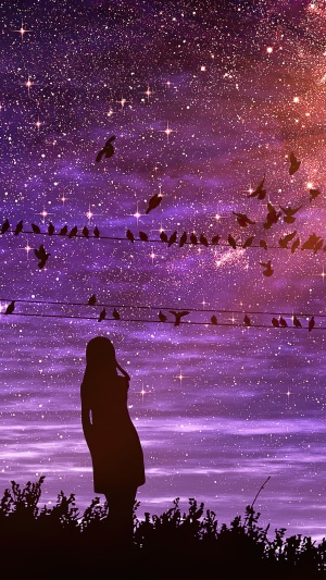 Silhouette of a girl under a starry sky with birds