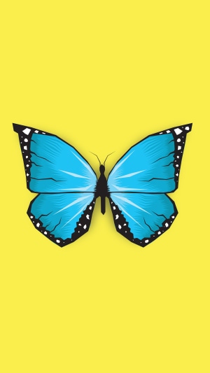 Blue butterfly on a yellow background