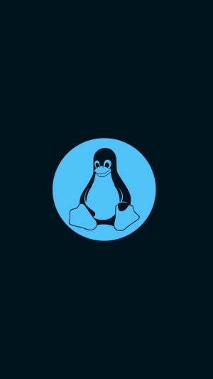 Linux Tux penguin logo 4K
