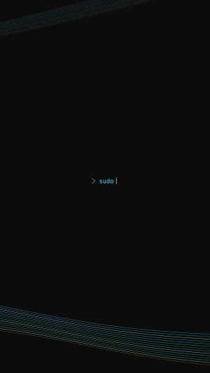 Linux command line interface with "sudo"