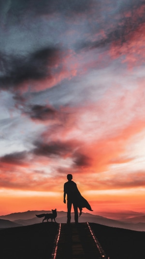 Silhouette of a person with a cape and a fox at sunset