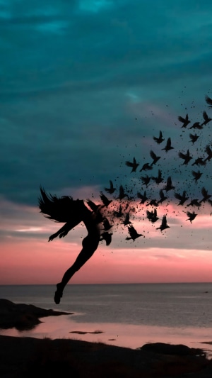 Silhouette of a woman dissolving into birds at sunset
