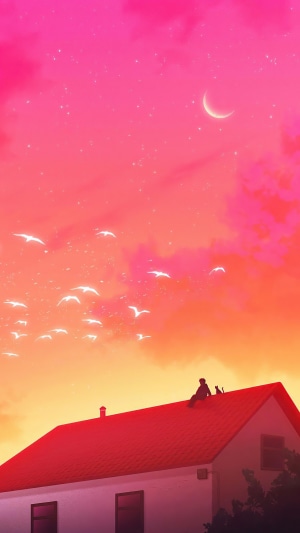 Person and cat on a roof at sunset with birds