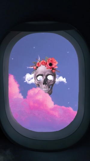 Skull with Flowers in Airplane Window