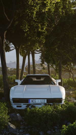 White sports car parked in a forest