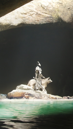 Knight with wolf on rocky island in cave
