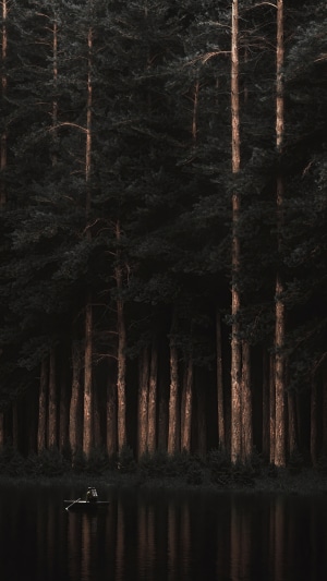 Person in a boat on a lake with a forest background