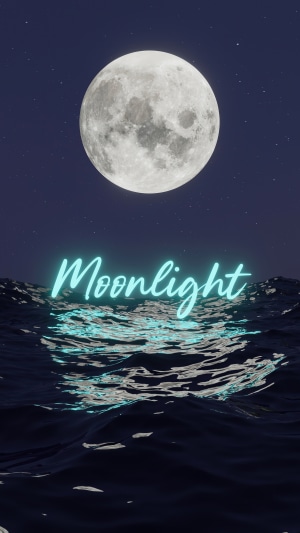 Moonlight over the ocean with stars