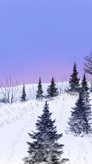 Winter landscape with snow-covered hills and pine trees
