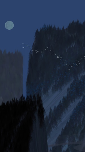Birds flying over mountains at night