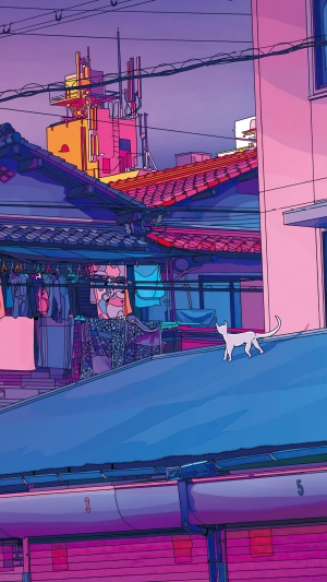 Cat on a rooftop in a city at dusk
