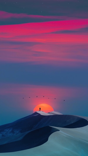 Man on Dune at Sunrise with Birds