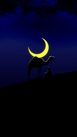 Camel and crescent moon in minimalist digital art 4K