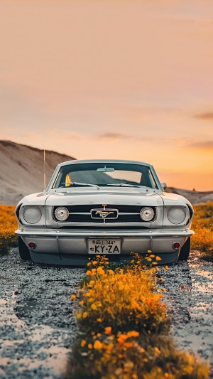 White Ford Mustang with Japanese License Plate