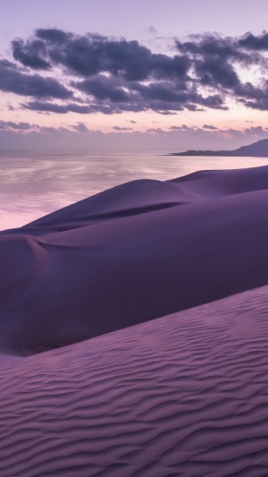 Purple sand dunes by the ocean at sunset