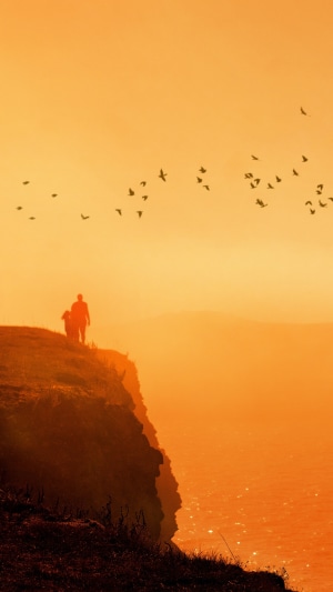 Couple on cliff edge at sunset with birds flying