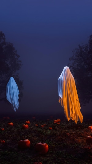 Two ghosts in a pumpkin patch at night